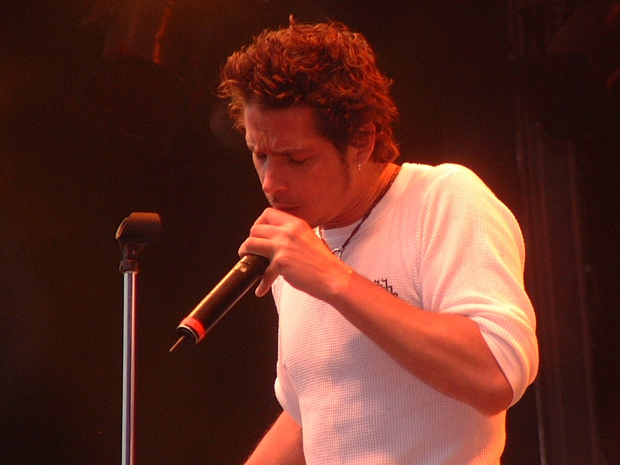 217%20-%20Audioslave,%20Chris%20Cornell.jpg